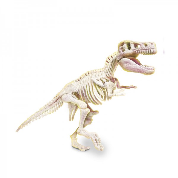 Archeofun - Világító T-Rex