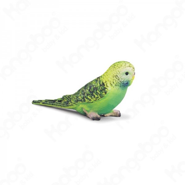Zöld papagáj