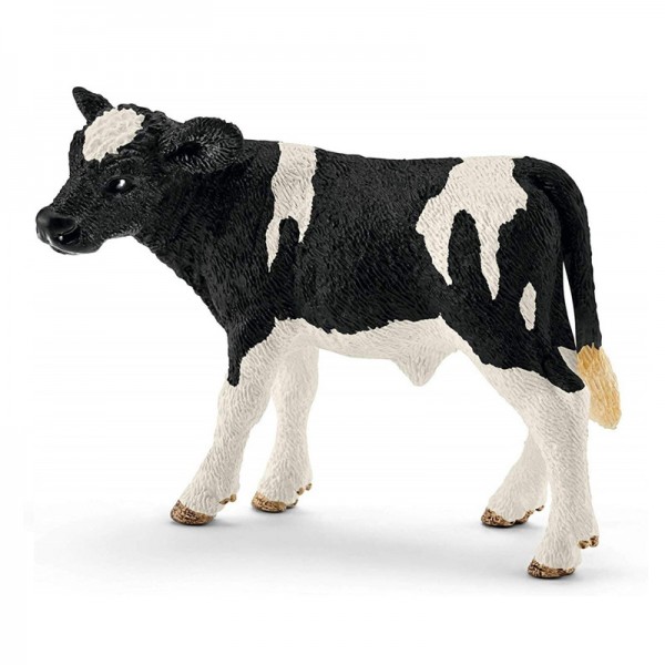 Holstein borjú