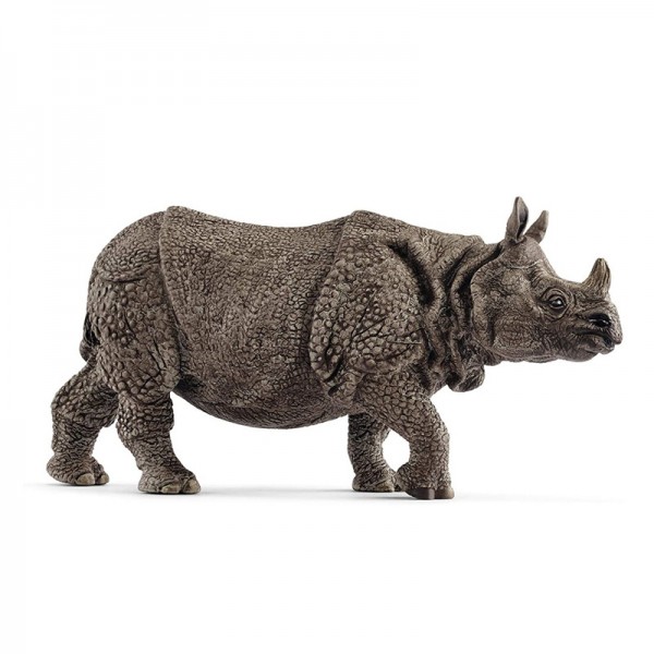 Indiai rinocérosz