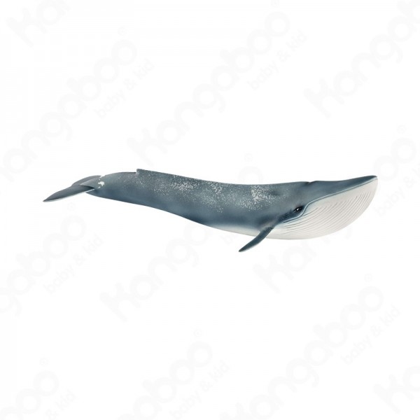 Kék bálna