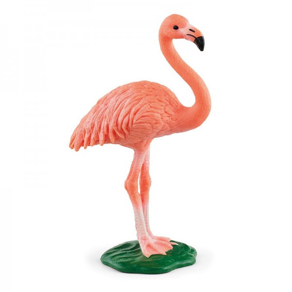 Wild Life - Flamingo