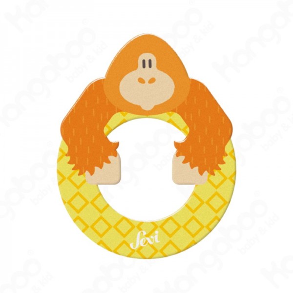Állat O -Orangutan